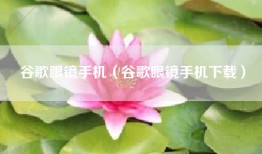 谷歌眼镜手机（谷歌眼镜手机下载）