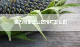 磁力智投企业贷推广怎么做