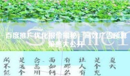 百度推广优化报价揭秘，高效广告预算策略大公开