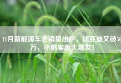 11月新能源车企销量出炉，比亚迪又破50万，小鹏零跑大爆发！
