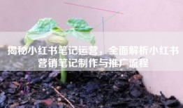 揭秘小红书笔记运营，全面解析小红书营销笔记制作与推广流程