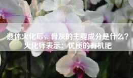遗体火化后，骨灰的主要成分是什么？火化师表示：优质的有机肥