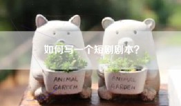 如何写一个短剧剧本？