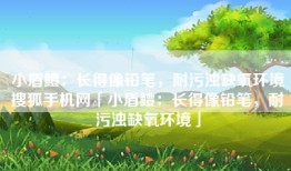 小盾鳢：长得像铅笔，耐污浊缺氧环境搜狐手机网「小盾鳢：长得像铅笔，耐污浊缺氧环境」