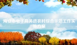 海安市电子商务进农村综合示范工作实施方案