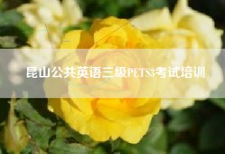 昆山公共英语三级PETS3考试培训