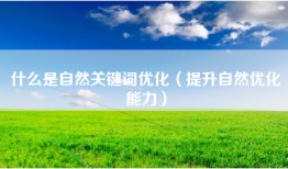 什么是自然关键词优化（提升自然优化能力）