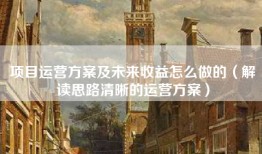 项目运营方案及未来收益怎么做的（解读思路清晰的运营方案）