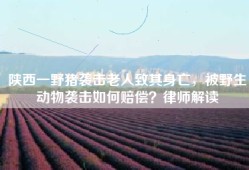 陕西一野猪袭击老人致其身亡，被野生动物袭击如何赔偿？律师解读