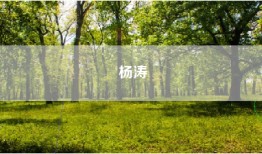 杨涛