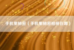 手机里秘密（手机里秘密相册在哪）
