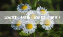 定制女仆2手机版（定制女仆2.5整合）