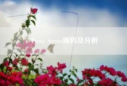 Proxy Server源码及分析