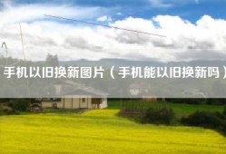 手机以旧换新图片（手机能以旧换新吗）