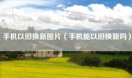 手机以旧换新图片（手机能以旧换新吗）