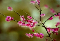 新推出：育婴师职业证怎么考取及报考要求.