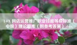 1+X 网店运营推广职业技能等级标准（中级）理论题库（附参考答案）.docx