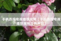 手机连接电视播放视频（手机连接电视播放视频没有声音）