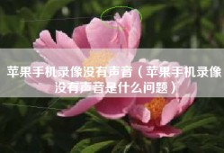 苹果手机录像没有声音（苹果手机录像没有声音是什么问题）