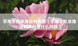 苹果手机录像没有声音（苹果手机录像没有声音是什么问题）