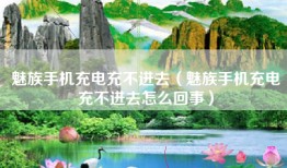 魅族手机充电充不进去（魅族手机充电充不进去怎么回事）