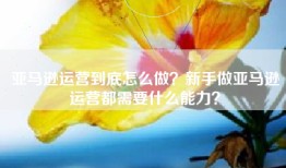 亚马逊运营到底怎么做？新手做亚马逊运营都需要什么能力？