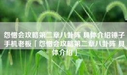 怨憎会攻略第二章八卦阵 具体介绍锤子手机老板「怨憎会攻略第二章八卦阵 具体介绍」