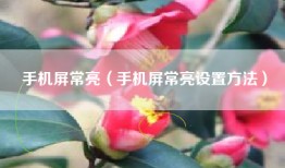 手机屏常亮（手机屏常亮设置方法）