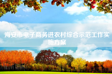 海安市电子商务进农村综合示范工作实施方案