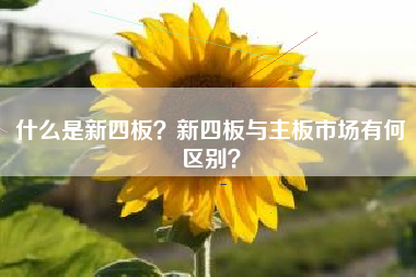 什么是新四板？新四板与主板市场有何区别？
