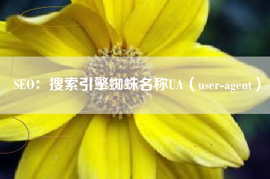 SEO:搜索引擎蜘蛛名称UA(user-agent) SEO:搜索引擎蜘蛛名称UA(user-agent)