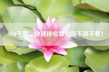SEO干货，快速排名靠前你不得不看！