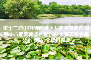 第十三届中国创新创业大赛河南赛区 暨第十六届河南省创新创业大赛表彰名单公布 我市9个项目获奖