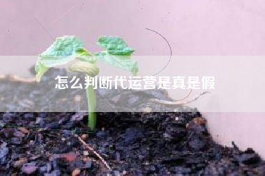 怎么判断代运营是真是假