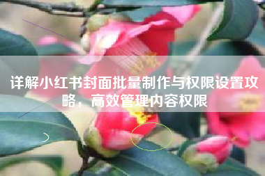 详解小红书封面批量制作与权限设置攻略，高效管理内容权限