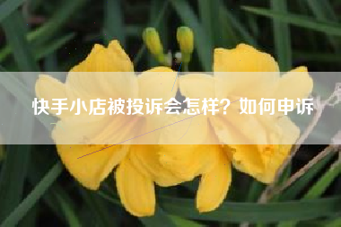 快手小店被投诉会怎样？如何申诉