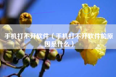 手机打不开软件（手机打不开软件的原因是什么）