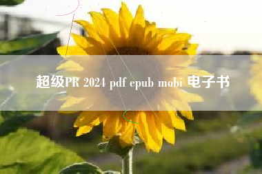 超级PR 2024 pdf epub mobi 电子书 超级PR 2024 pdf epub mobi 电子书
