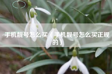 手机靓号怎么买（手机靓号怎么买正规的）