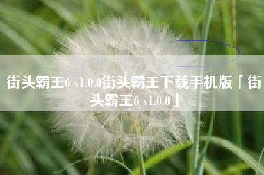 街头霸王6 v1.0.0街头霸王下载手机版「街头霸王6 v1.0.0」