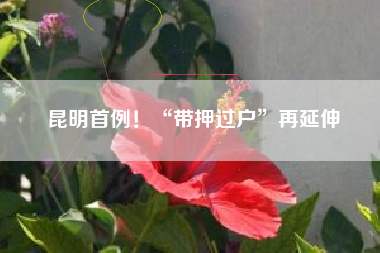 昆明首例！“带押过户”再延伸